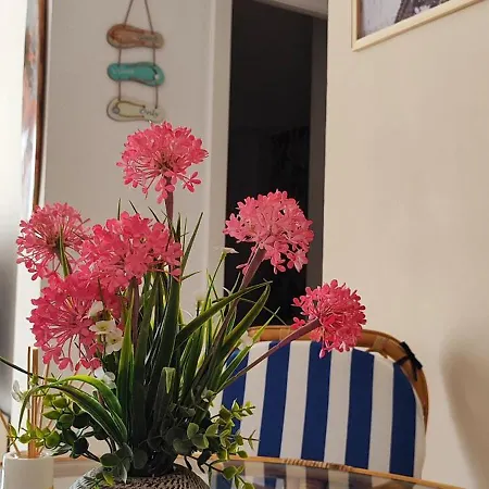 Ocean Front Trianon * 다이무스