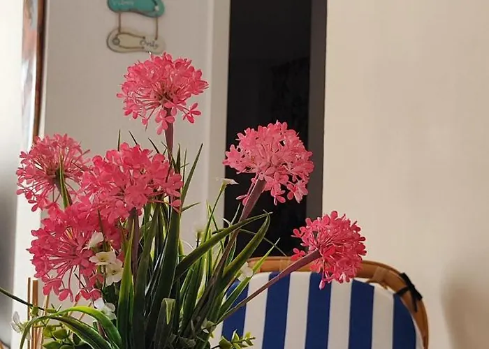 Ocean Front Trianon * Daimus