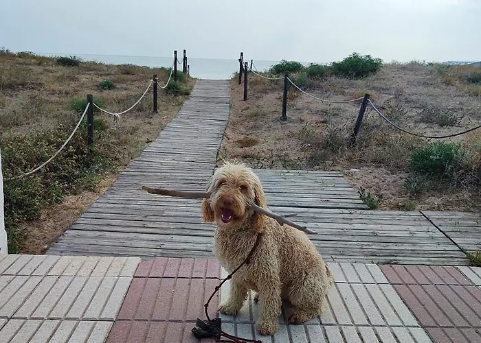Ocean Front Trianon Διαμέρισμα Daimus